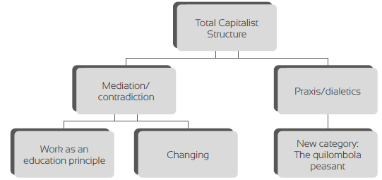 Organization chart based on the MHD of the new category: the quilombola peasant.