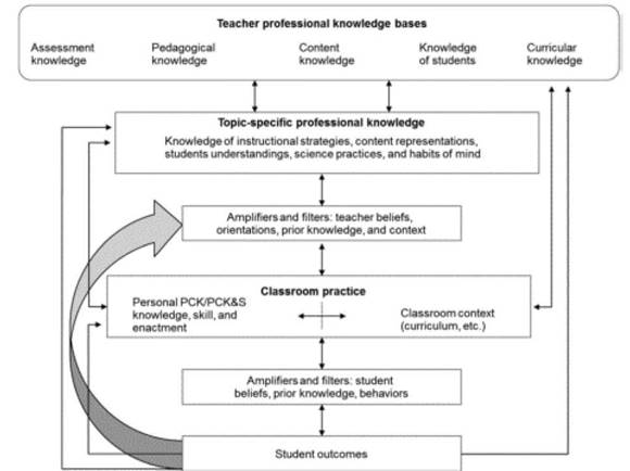 Modelo de consenso del conocimiento profesional del docente según Gess-Newsome (2015).