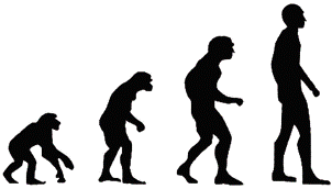 Representación típica de la evolución humana.